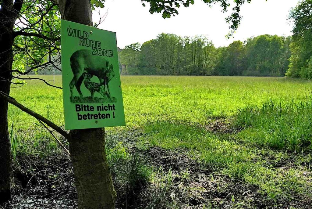 (KUGerhardt)
