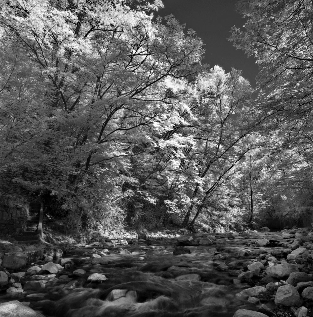 Greto-Parco Breggia 1996 (© Giovanni Luisoni)
