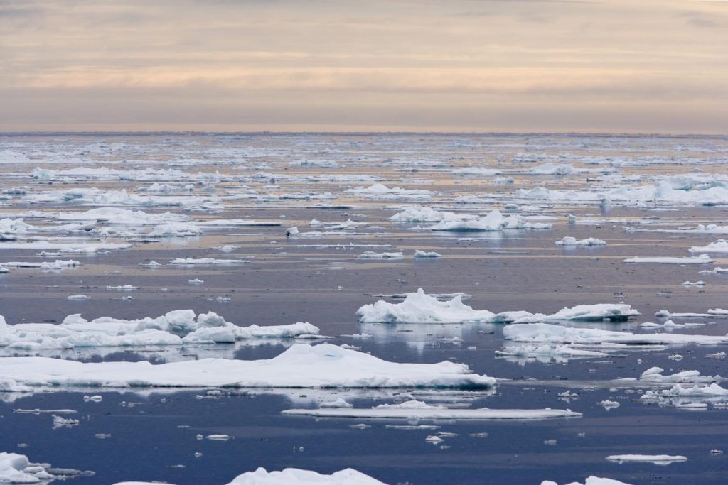 Ghiaccio alla deriva, Spitsbergen, Svalbard, Norvegia, Oceano Artico (Franco Banfi)