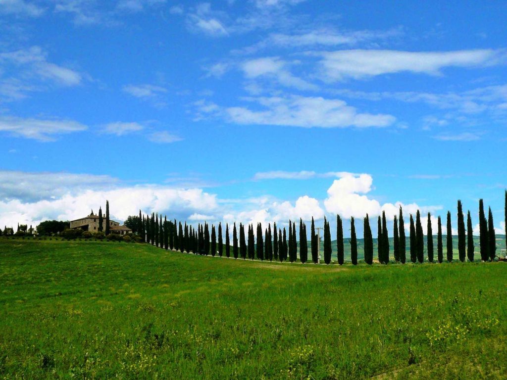Un caratteristico paesaggio della Val d’Orcia