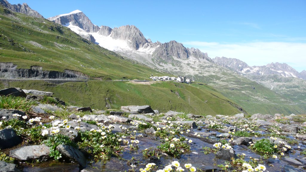 La stazione di ricerca e formazione alpina ALPFOR (E. Hiltbrunner)
