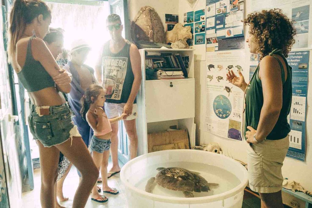 Giusy, una delle collaboratrici del Centro si rivolge a un gruppo di turisti attirati da Palla, una delle tartarughe appena soccorse