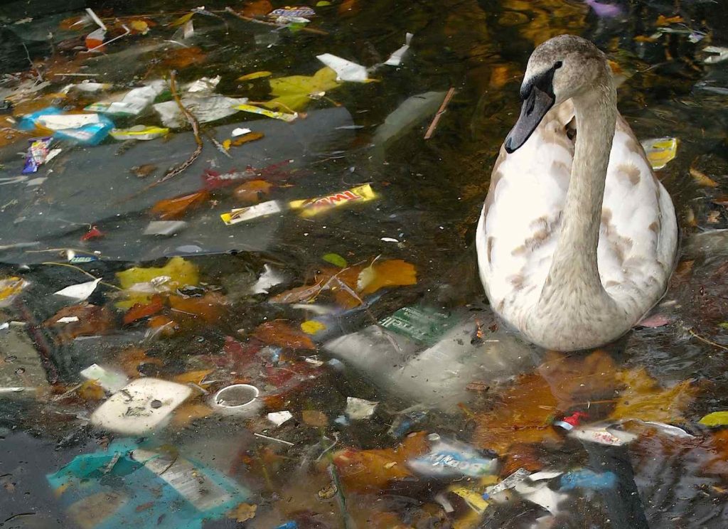 Il degrado dei suoli, fiumi, oceani, foreste, oltre alla perdita della biodiversità fa a pugni con i buoni propositi (Thames)
