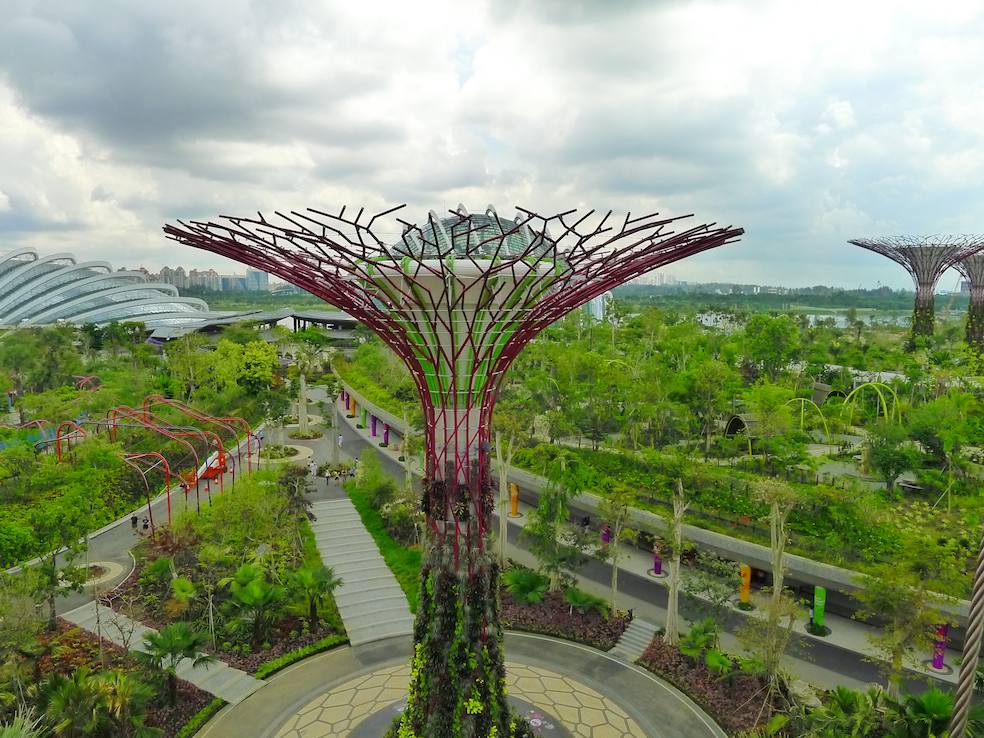 I supertree dei Gardens by the Bay