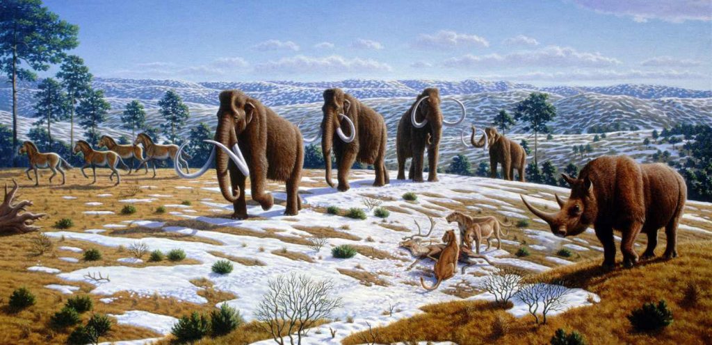 Fauna dell’era glaciale nel Nord della Spagna (Mauricio Antón)