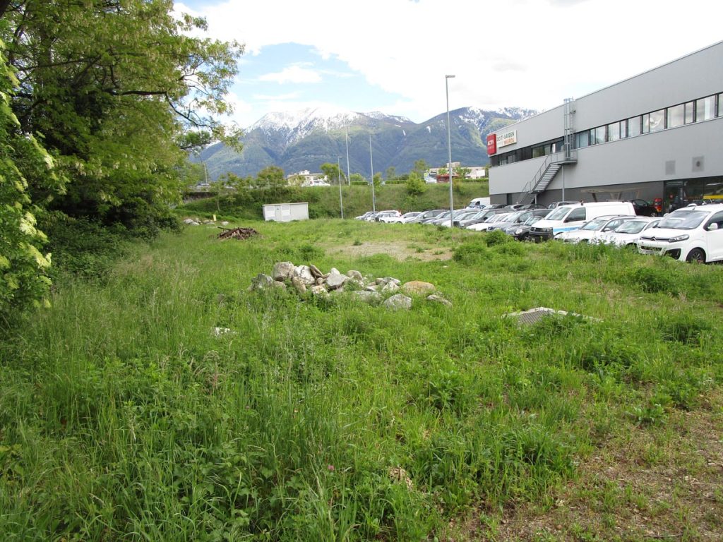Migros Do it-Garden di Losone(© Roberto Buffi)