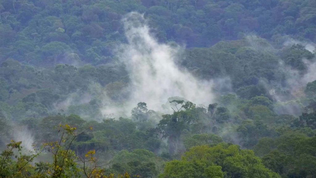 Amazzonia, vista aerea (Philippe Nicolet)
