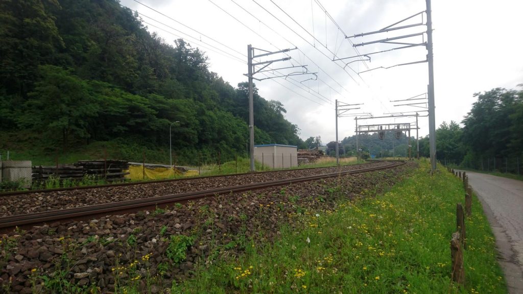 Linea verde (Marco Martucci)