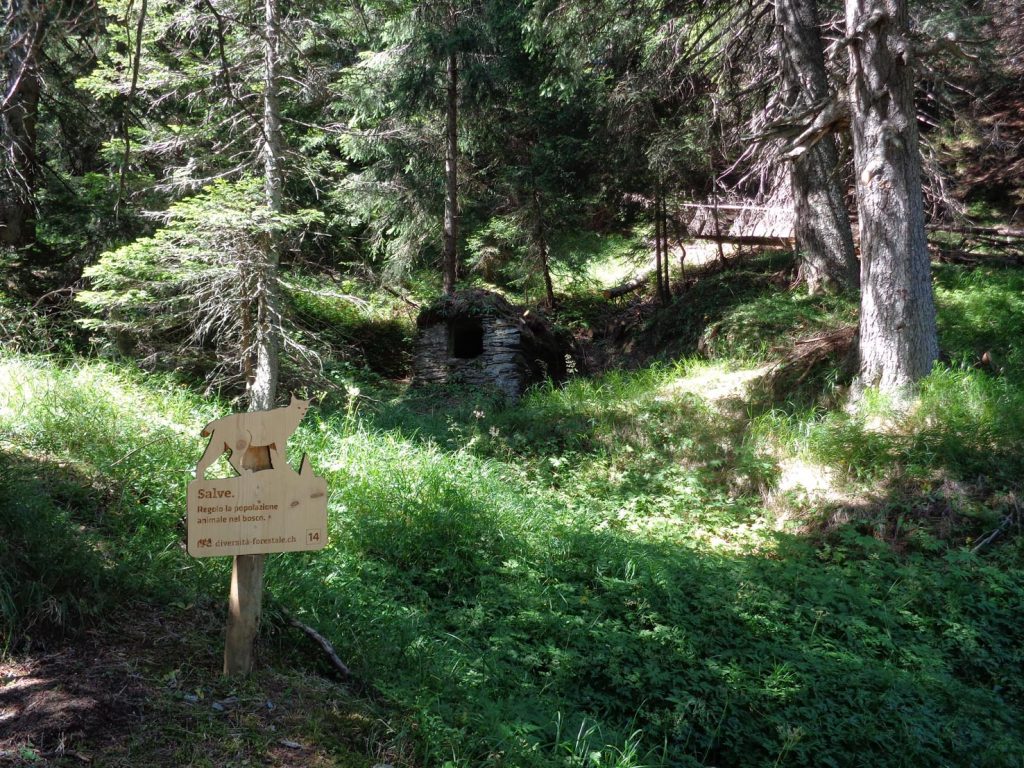 San Bernardino, percorso bosco, Lince e fornace