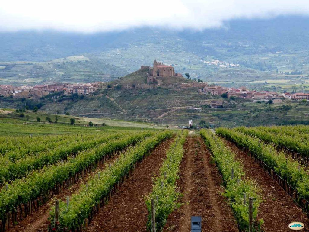 La celebre Rioja vista da una finestra del Museo del vino di Briones (Juantigues)