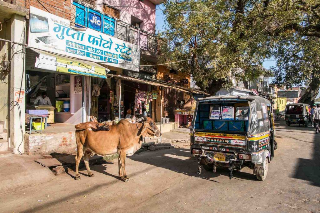 La Jhansi Road, strada principale di Orchha