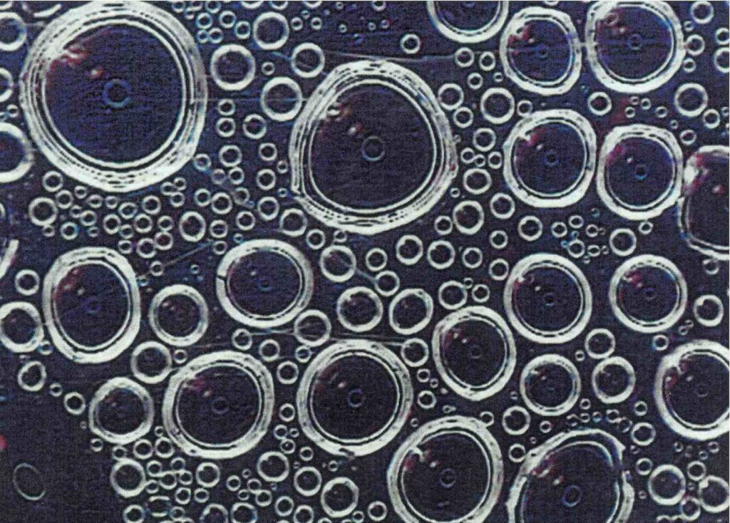 Gocce di rugiada viste al microscopio (Alessandro Focarile)