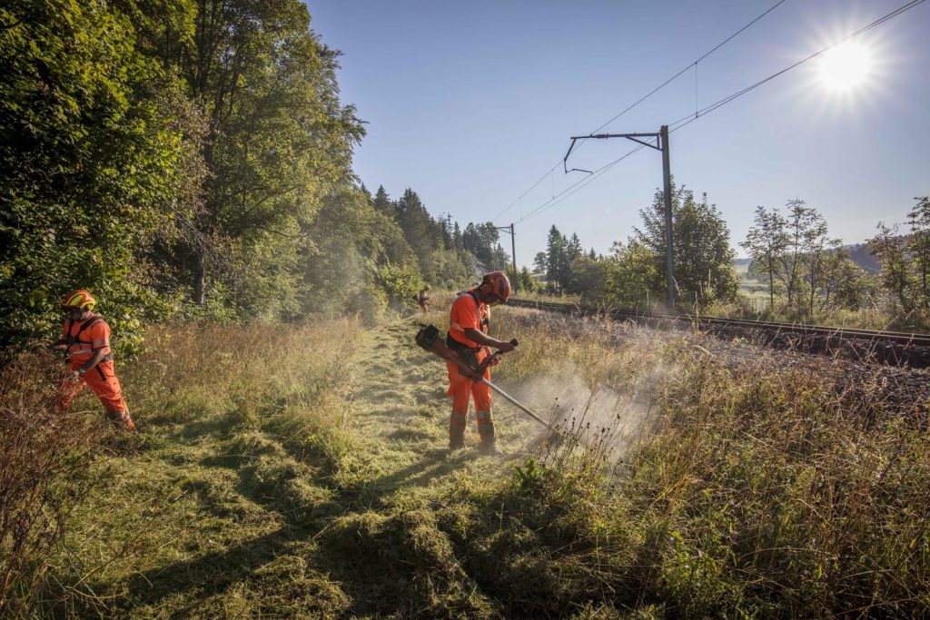 Lavori di manutenzione per il controllo della vegetazione (FFS)