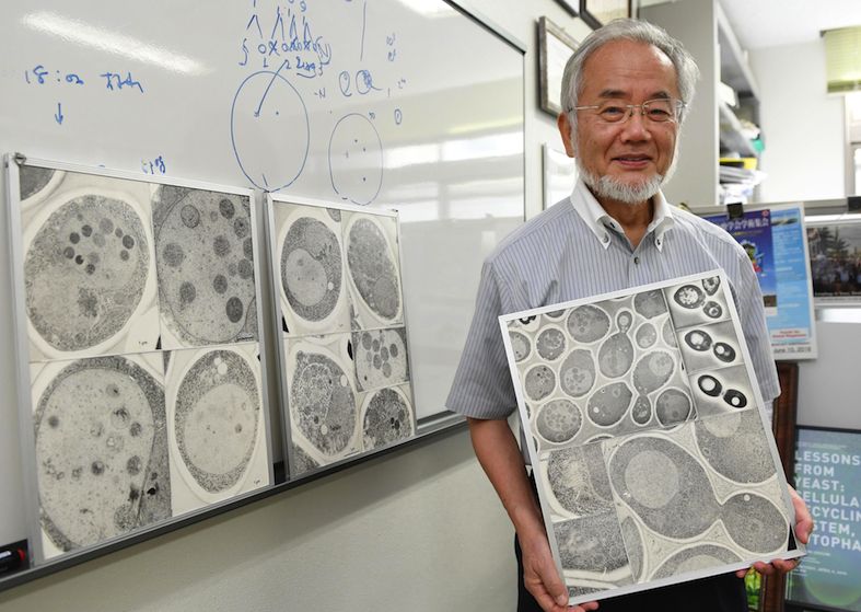 Yoshimori Ohsumi, Premio Nobel per la medicina 2016 (Keystone)
