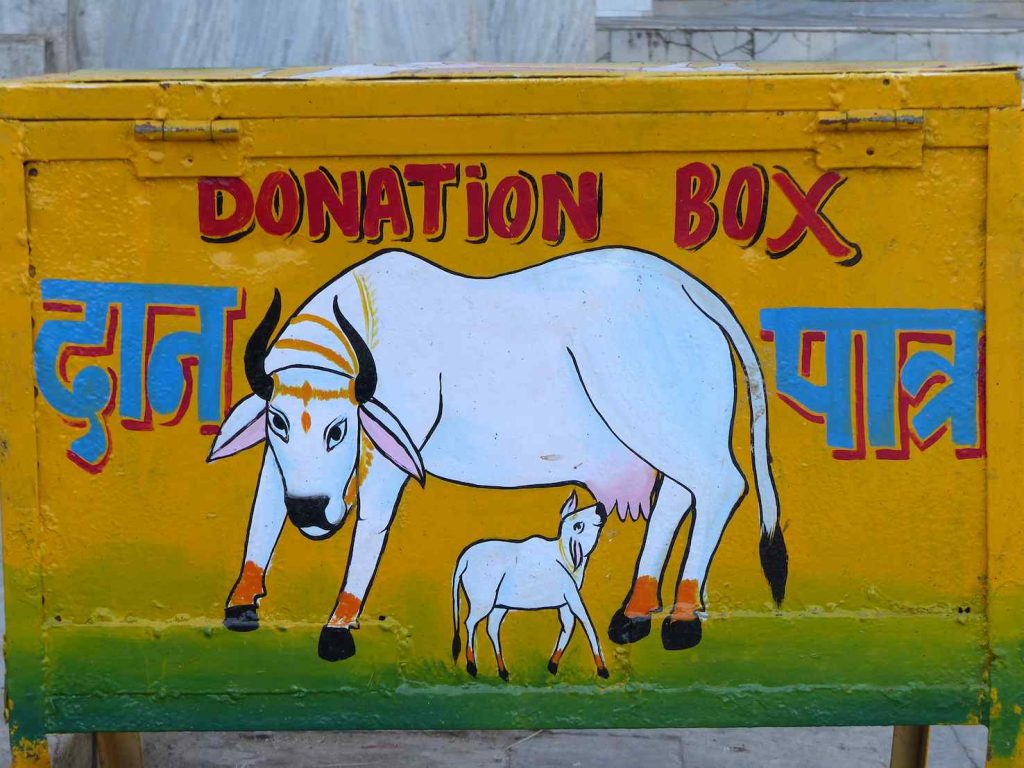Gujarat, cow donation box