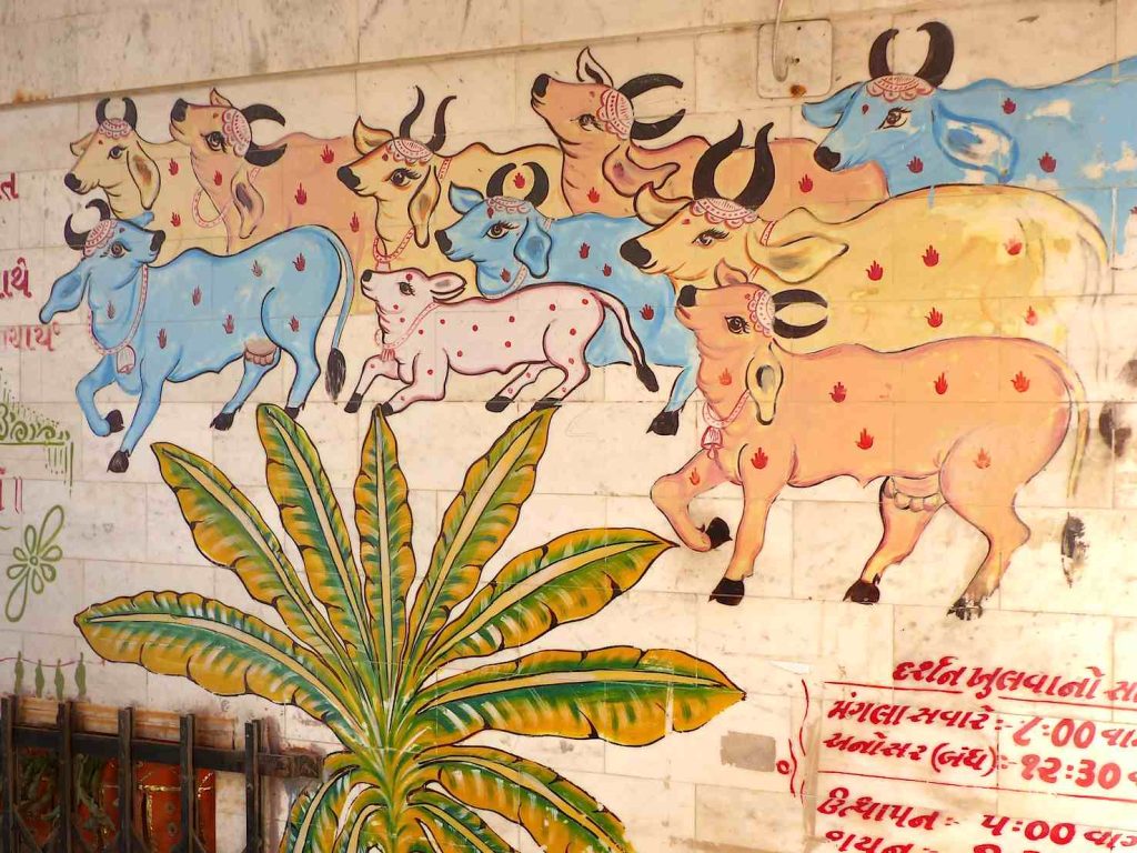 Gujarat, Dwarka, murale vacche