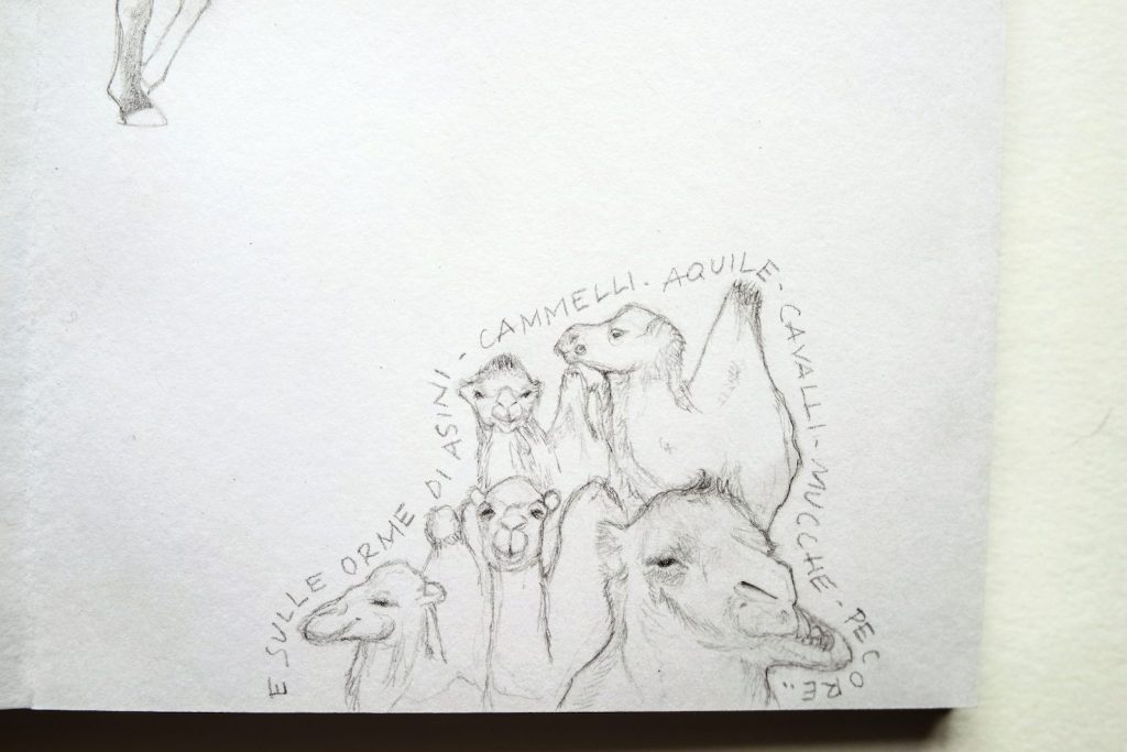 (schizzo di Sara Pellicoro)