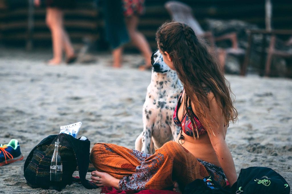 Sono molte le offerte turistiche che prevedono non solo l’ospitalità di animali, ma persino l’adozione (Pxhere.com)