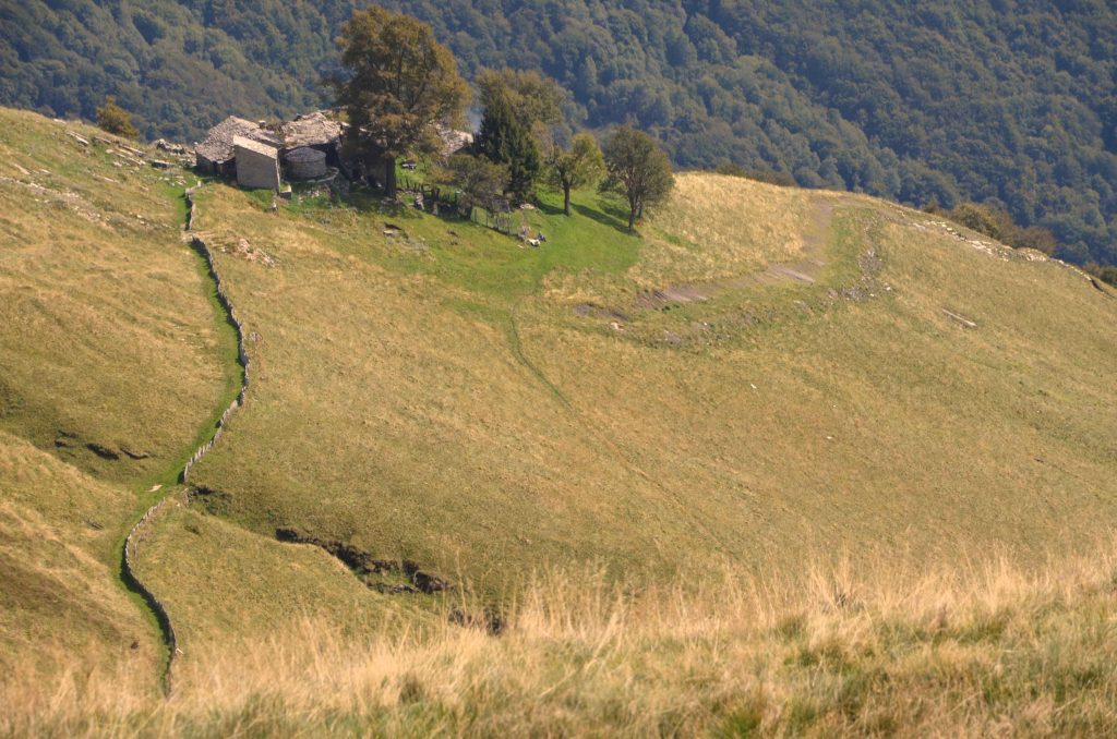 L'Alpe di Nadig