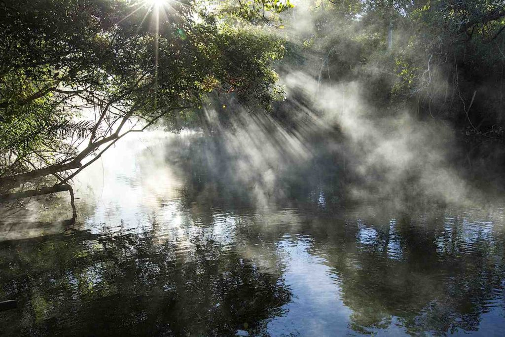 Raggi del sole che filtrano tra i rami degli alberi e la nebbia mattutina ad Aquário Natural, Bonito (Franco Banfi)