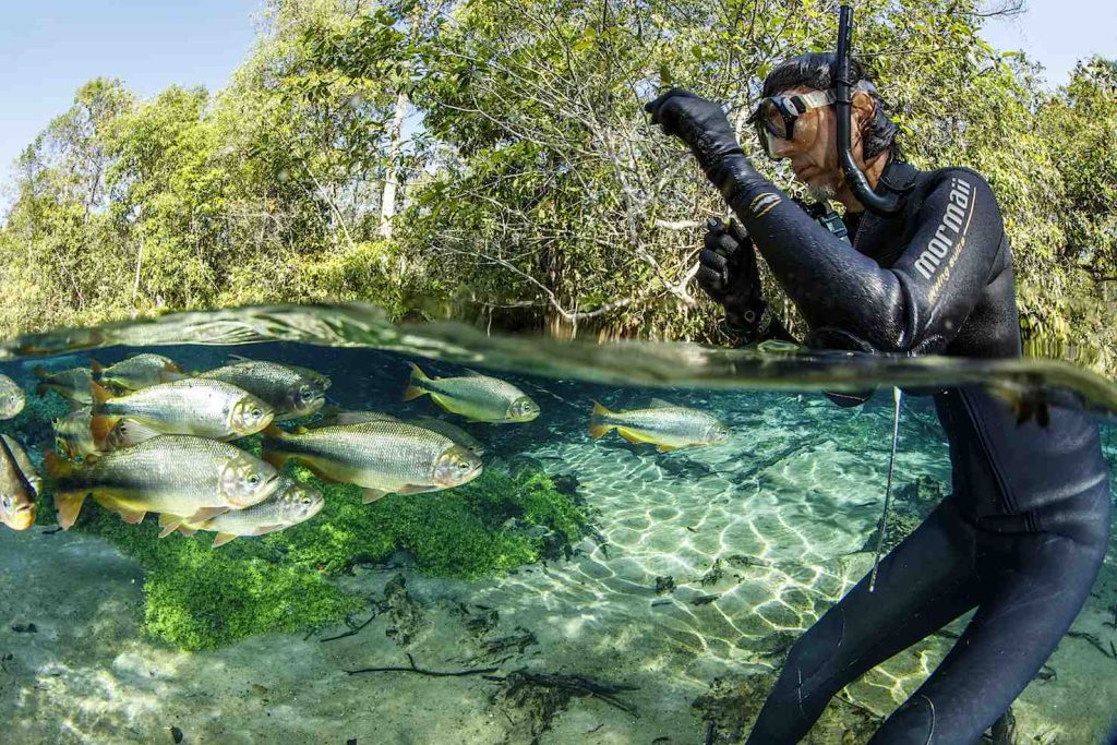 Un sub snorkeler alle prese con un banco di pesci d'acqua dolce (Franco Banfi)