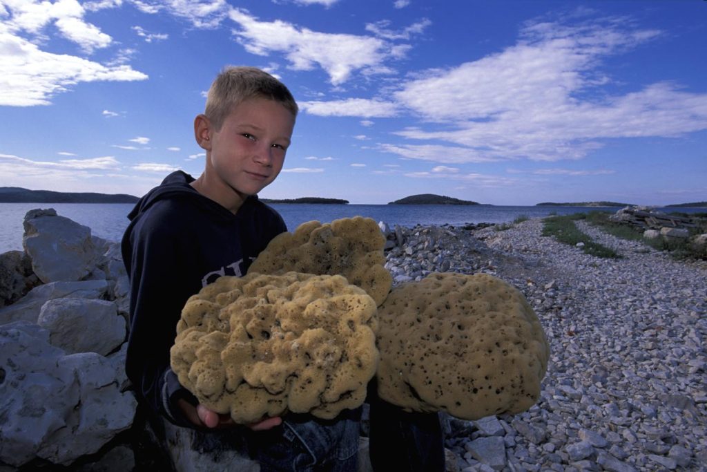 Un ragazzino con tre grandi spugne naturali
