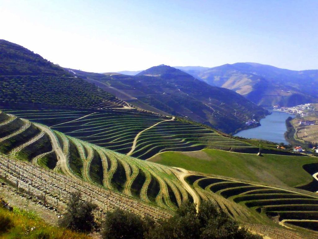I vigneti tradizionali di Duero si trovano su terrazzamenti lungo l’omonimo fiume e i suoi tributari (Feliciano Guimarães)