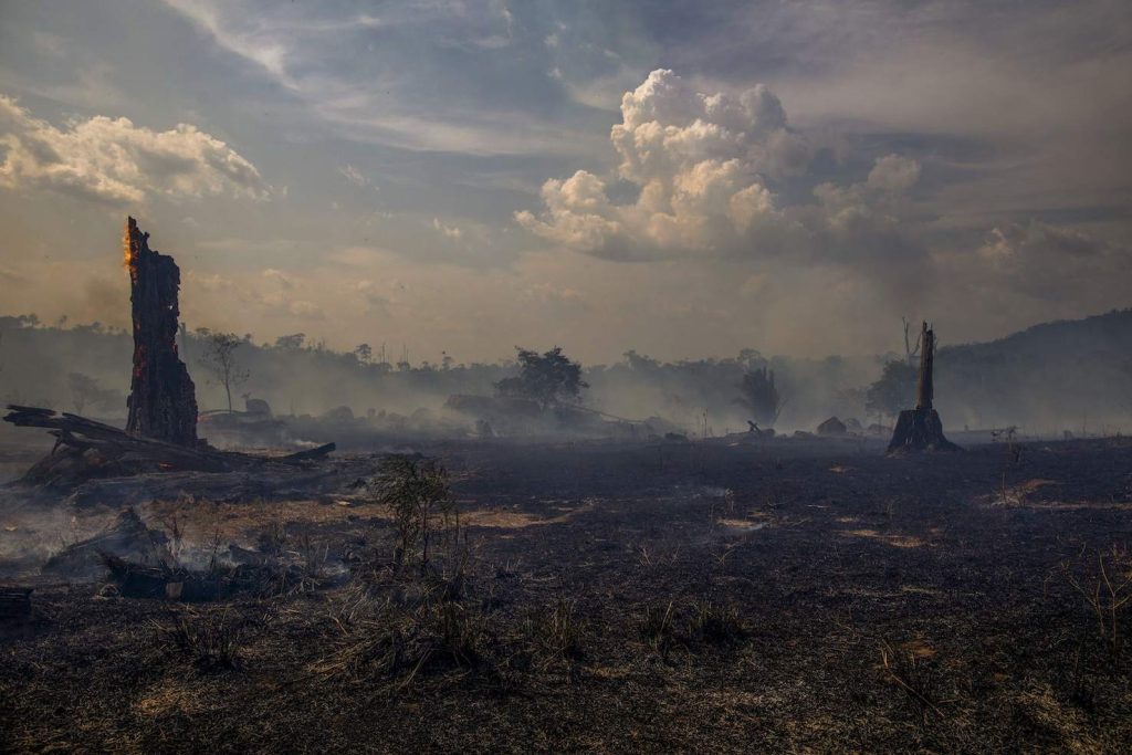 Quel che resta di una porzione di Amazzonia (AFP)
