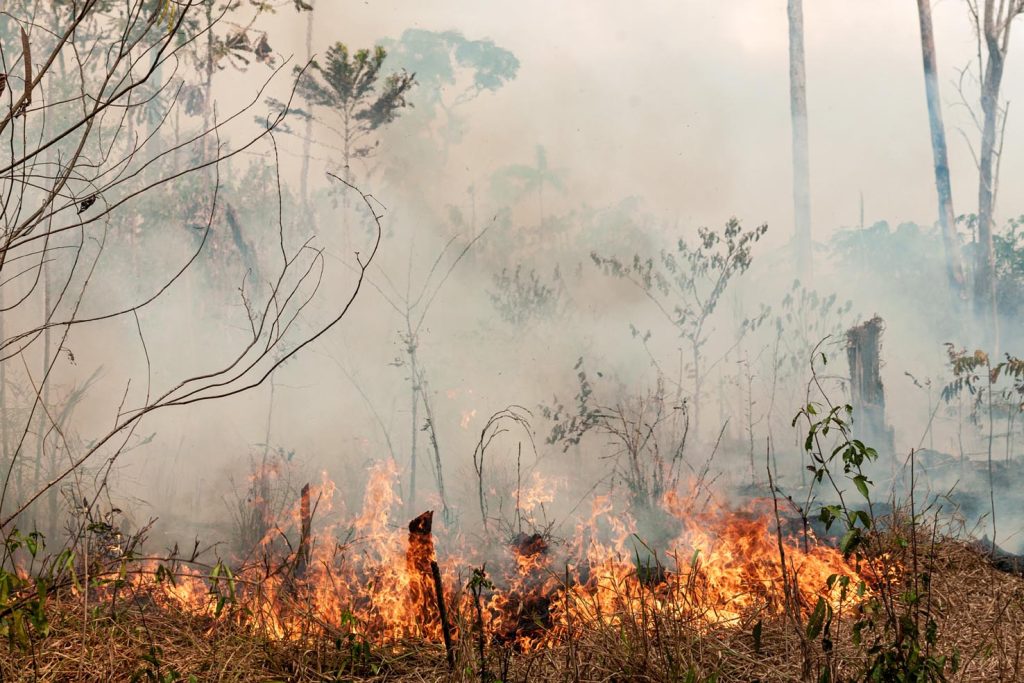 I satelliti ci segnalano che una vasta area del pianeta è devastata dagli incendi, sia naturali, sia provocati dall’uomo (Vinícius Mendonça)