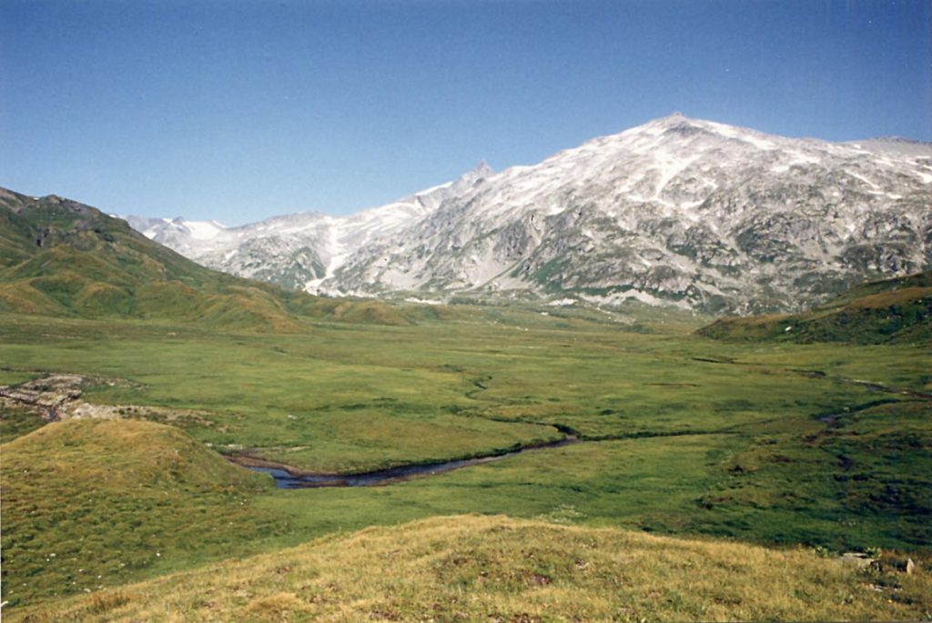 La tundra nella regione del Motterascio,  alta Val Luzzone, Ticino (Alessandro Focarile)