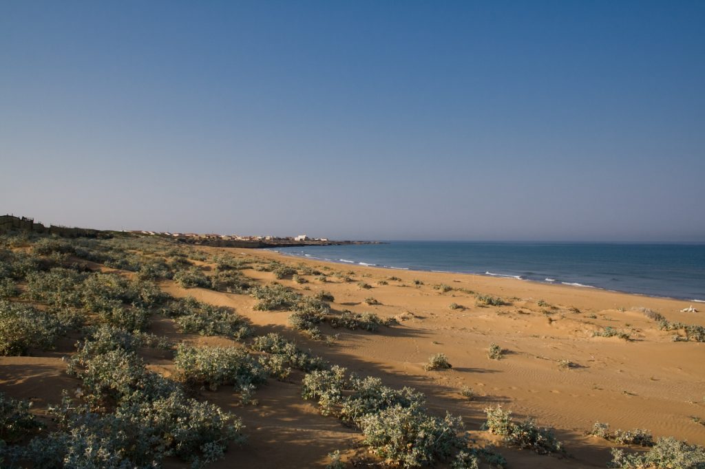 La spiaggia di Randello, in Sicilia, conta molte piante, tra cui eucalipti, mirti e altre specie della macchia mediterranea (Riserva Naturale Randello)