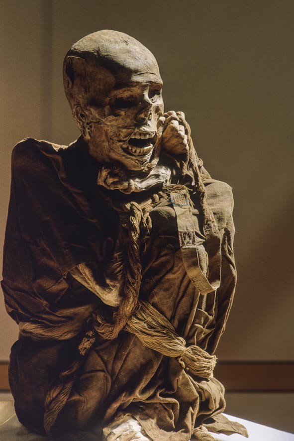 In un museo, 225 mummie e oltre 2000 reperti trovati nel Lago dei Condor
