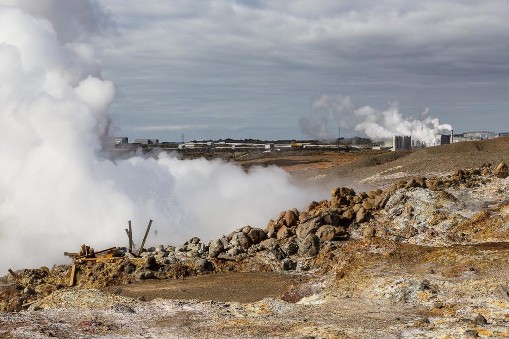 Piante di banane presso le serre del Dipartimento di Agricoltura a Hveragerði