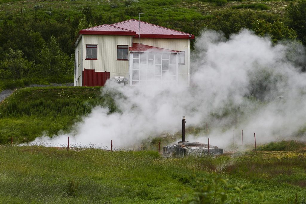 Una delle tante serre riscaldate e illuminate grazie all’energia geotermica