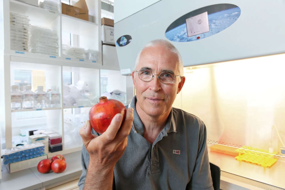 Il Prof. Johan Auwerx, del Poli di Losanna, ha studiato l’urolitina A, metabolita della digestione del melograno (labiotech.eu)