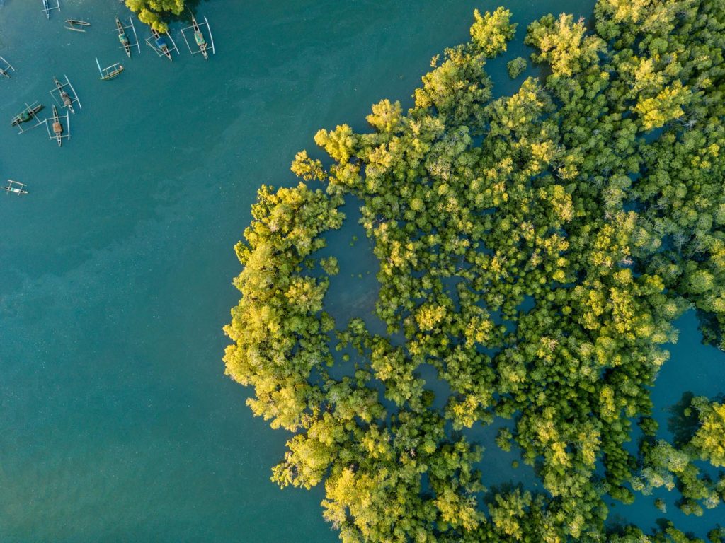 Panoramica in volo di una foresta di mangrovie in Madagascar (Myclimate)