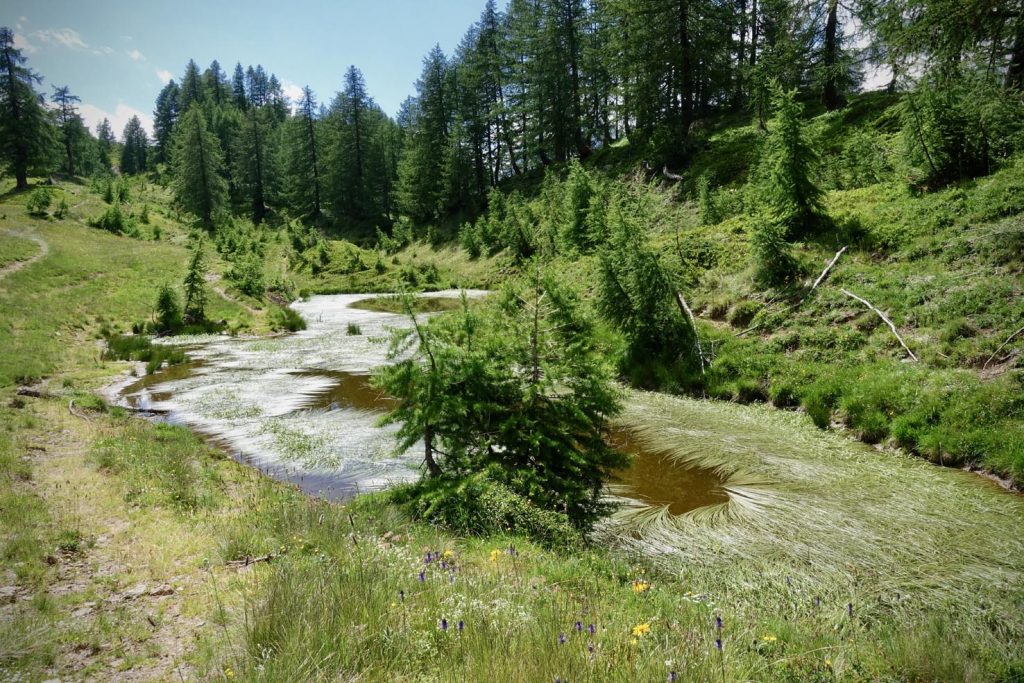 Stagno a Pianascio