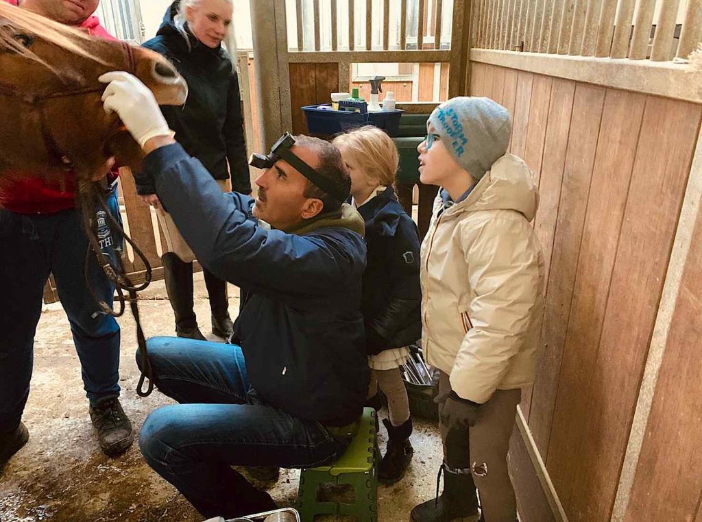 Il dottor Stefano D’Albena, veterinario (Maria Grazia Buletti)