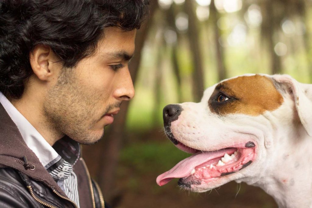 È sempre più confermata la grande intesa che può esserci tra persone e animali (Pexels)