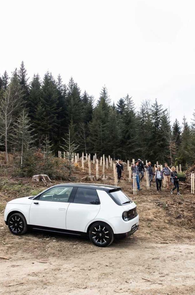 Per ogni auto elettrica venduta sarà piantato un albero (Honda)