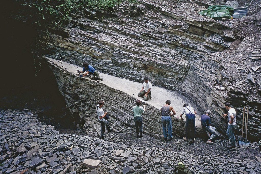 Scavi dell’Università di Milano nel Calcare di Meride. Valle del Gaggiolo, luglio 2001 (Rudolf Stockar)