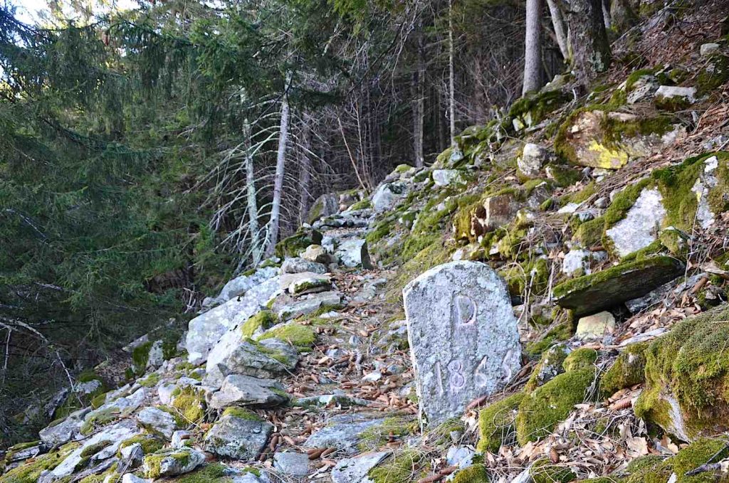 Bosco delle Ganne