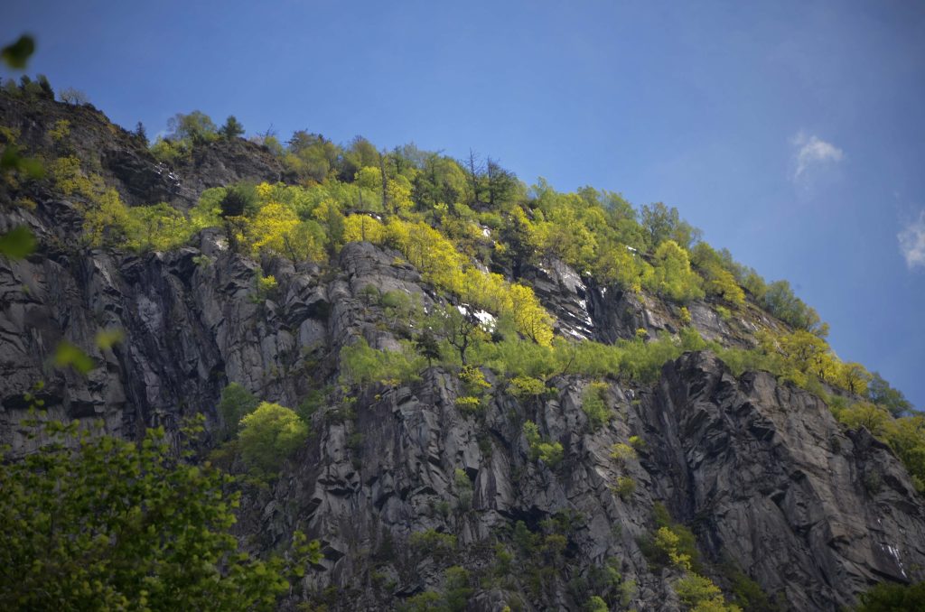 La montagna sopra Biasca