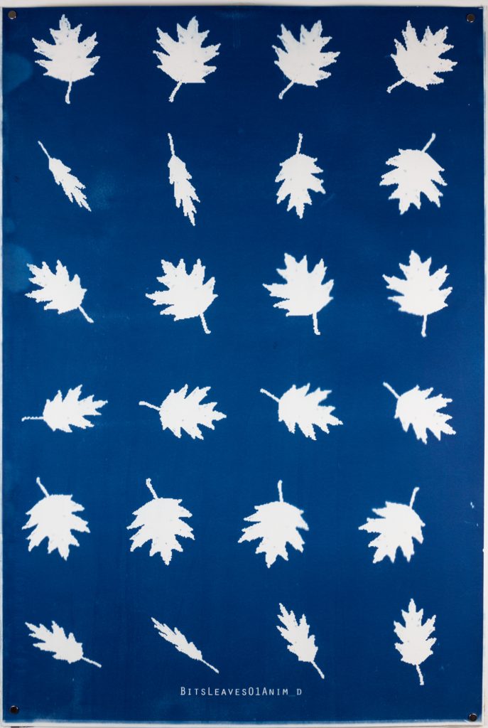 Alan Butler (Dublino, *1981), 2019, cianotipia unica, 91 x 61 cm (Courtesy the artist & Green On Red Gallery, Dublin © the artist)

