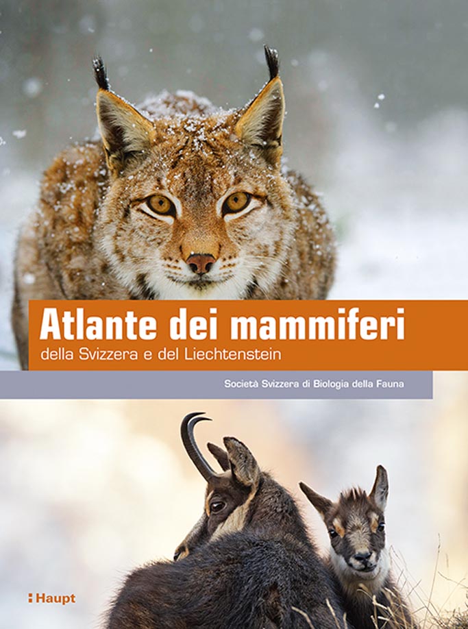 Le ricerche per allestire il nuovo Atlante hanno permesso anche di scoprire 12 nuove specie rispetto all’ultimo bilancio del 1995 (nell'immagine, la copertina del libro).