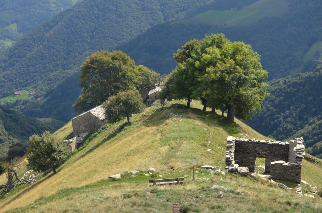 Alpe di Génor