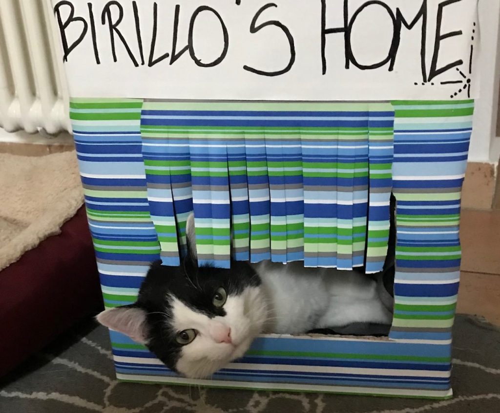 Far sentire gli animali degli altri a casa è uno dei compiti di un Guardiano (Daniela Gentile )