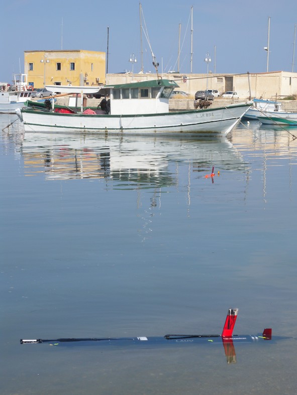 Cliccando sull'immagine si accede
al sito del progetto «Sunrise»