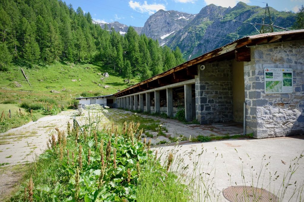 Alpe di Valleggia