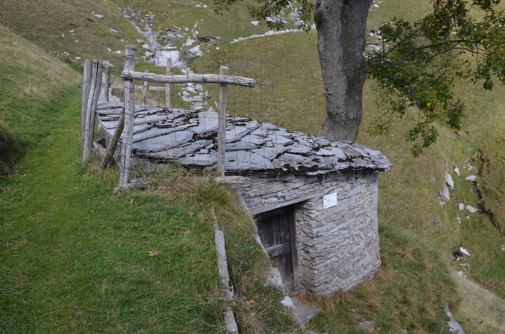 Nevèra di Génor